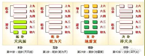 乾巽|周易第44卦